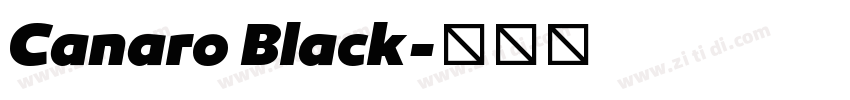 Canaro Black字体转换